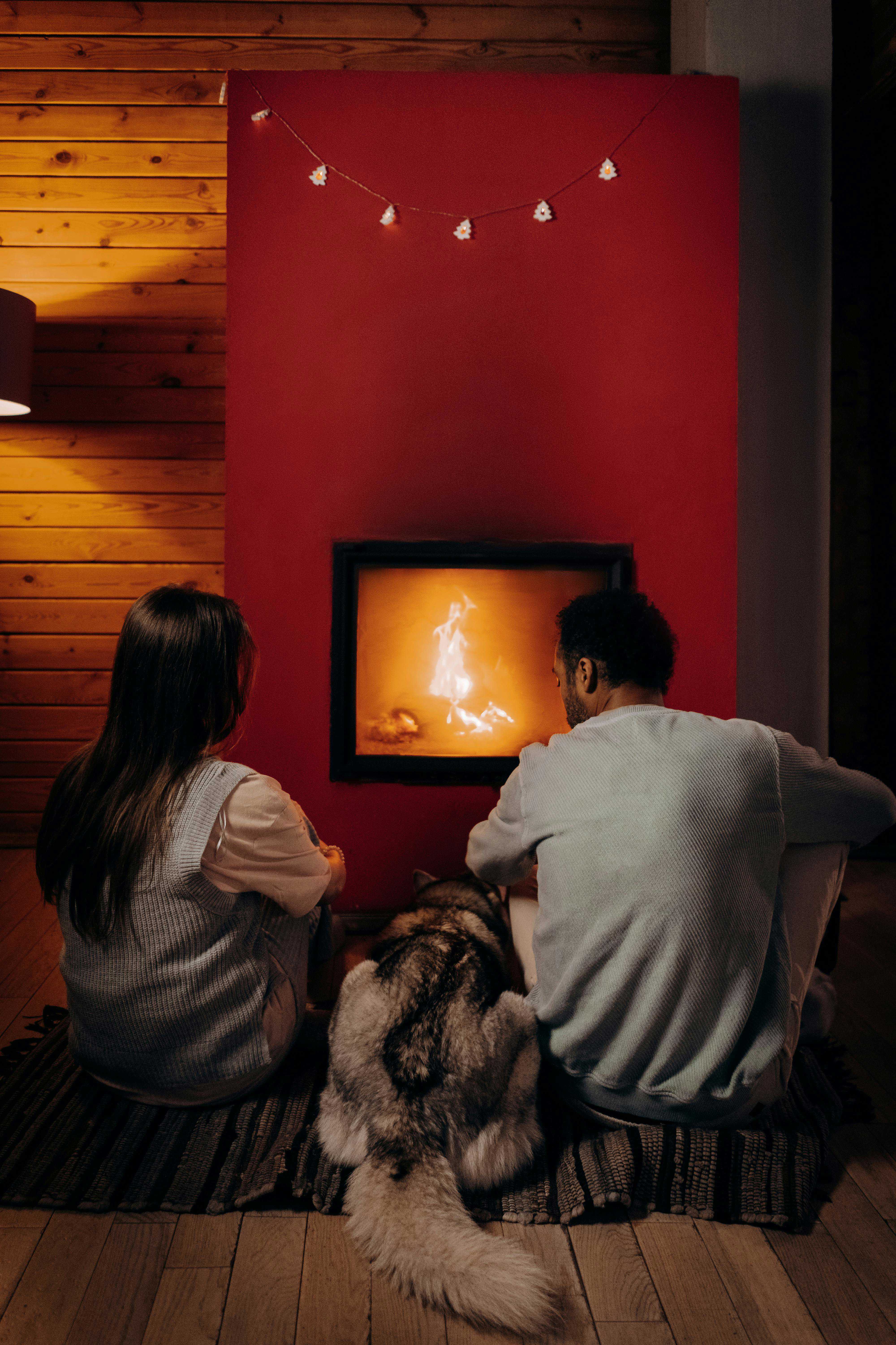 Guide til Håndtering af en Hunds Løbetid