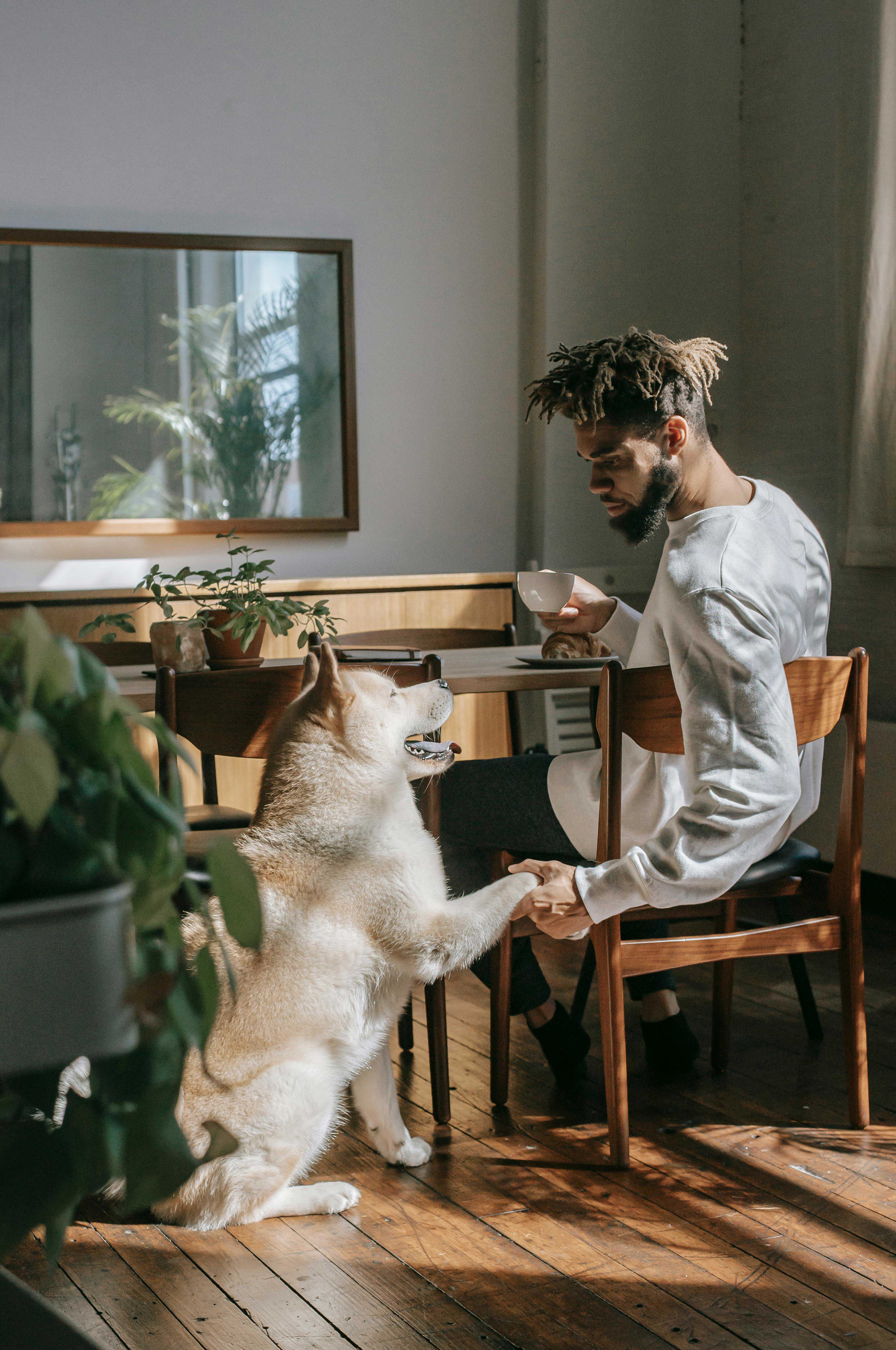 Håndtering af Separationsangst hos Hunde