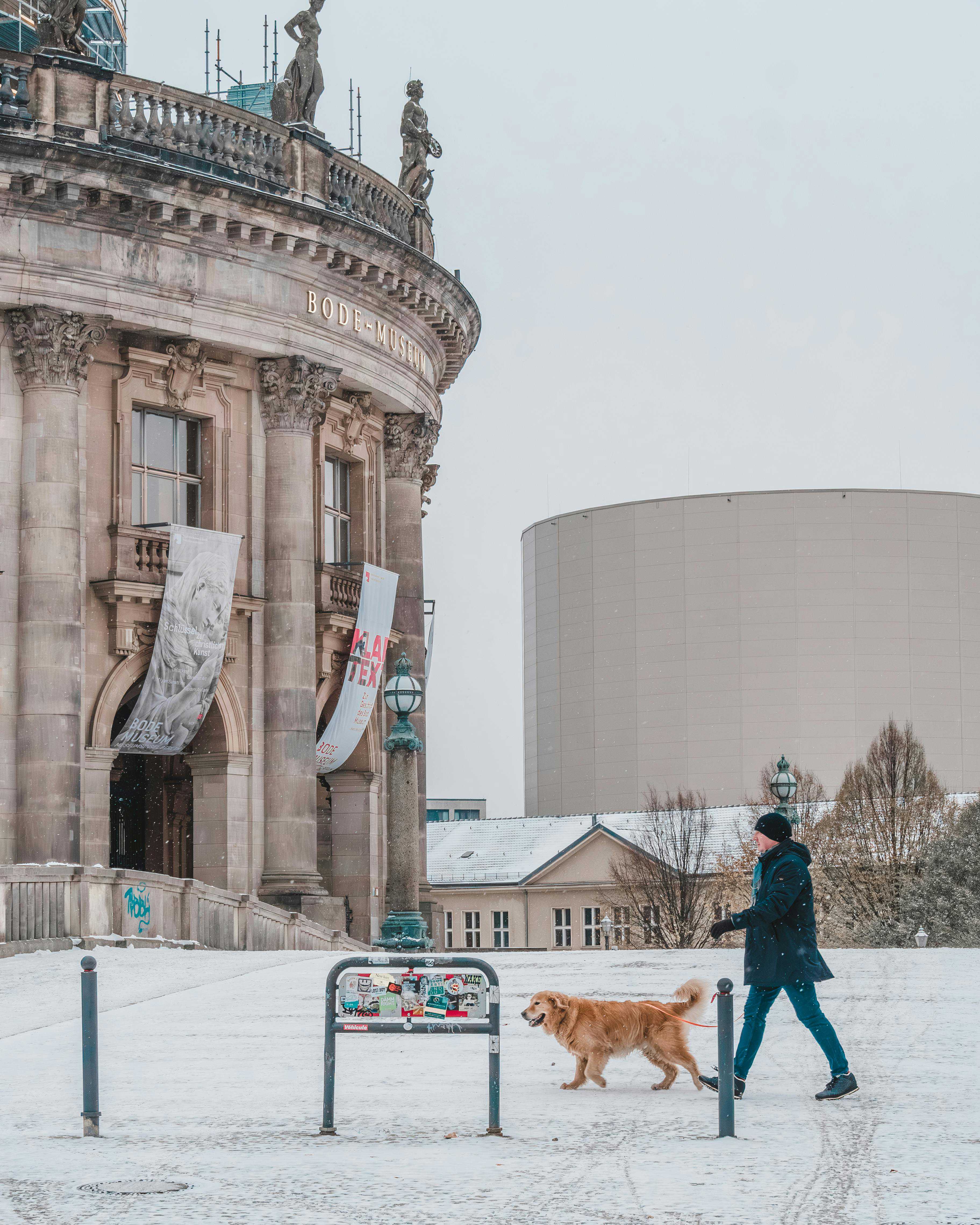 Hvad er de månedlige omkostninger ved at have en hund?