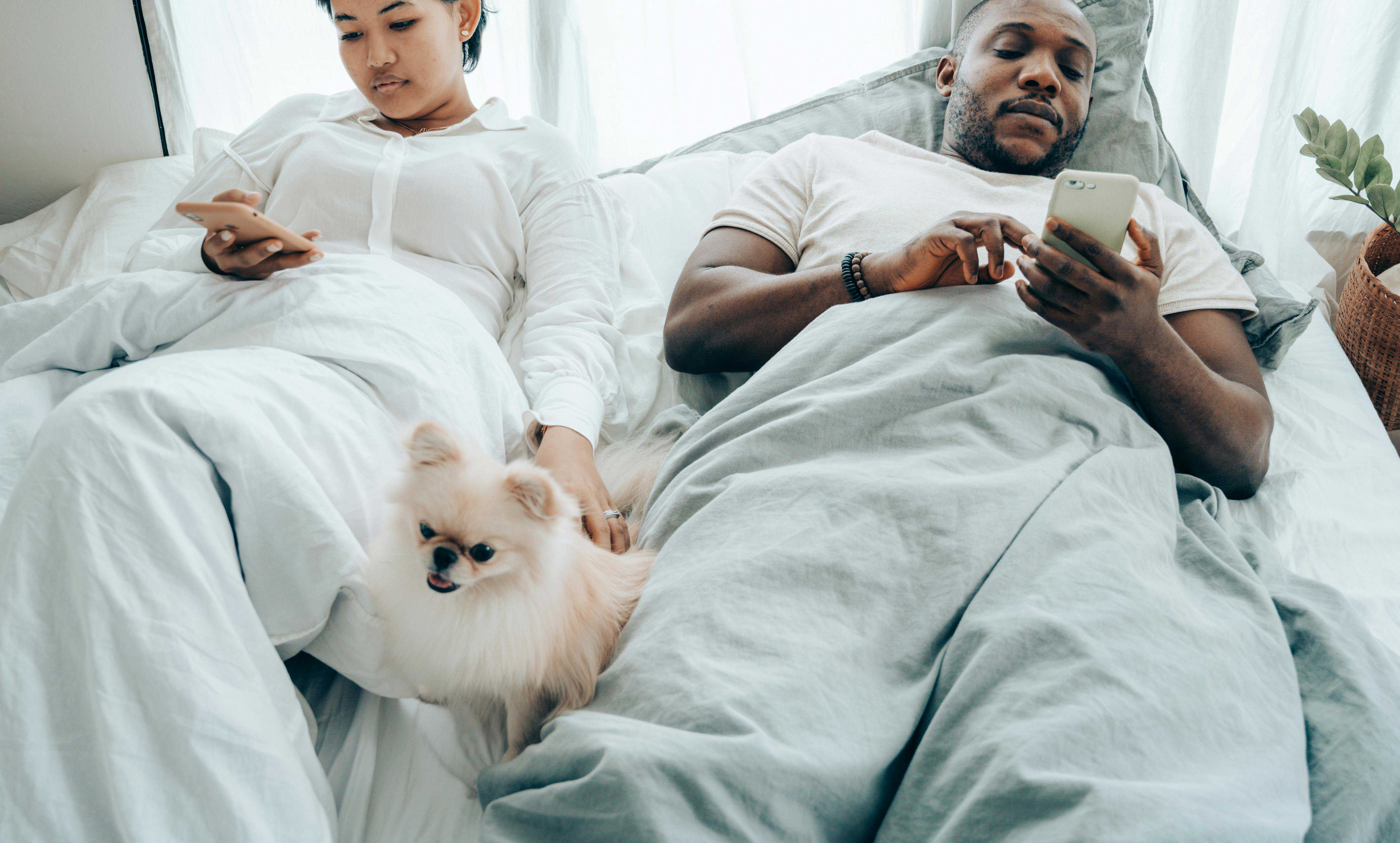 Hvem Har En Hund? Et Indblik i Hundeejere