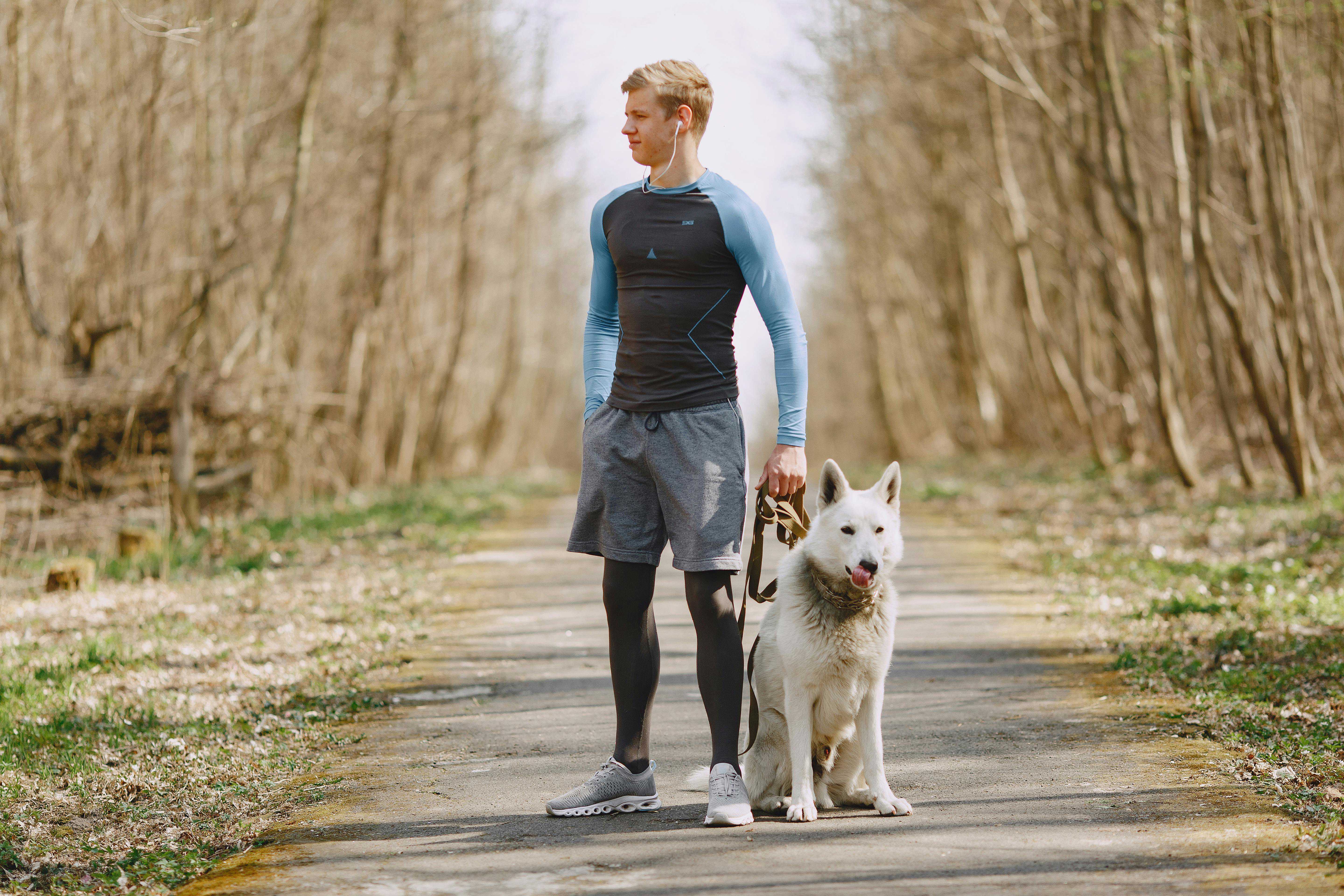 Hvordan træner man en hund til ikke at trække i snoren?
