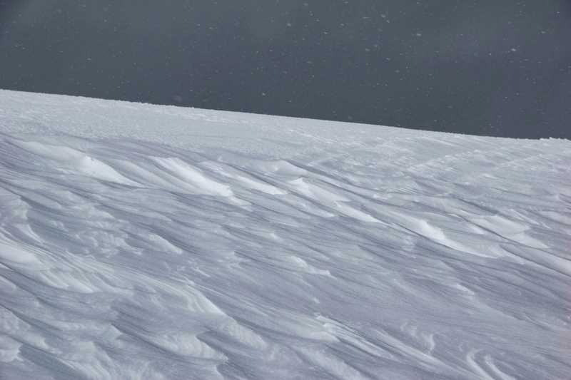 Alpenländische Dachsbracke historie