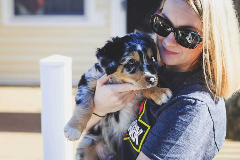 Australian Shepherd historie