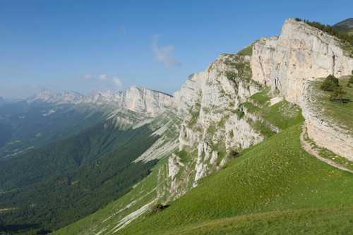 Braque D Auvergne