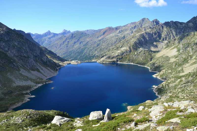 Braque Francais Pyrenees historie