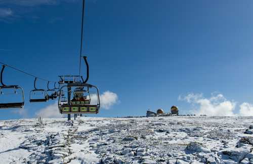 Cao Da Serra Da Estrela racebeskrivelse