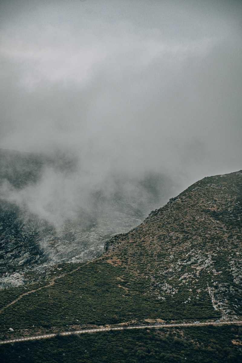 Cao Da Serra Da Estrela udseende