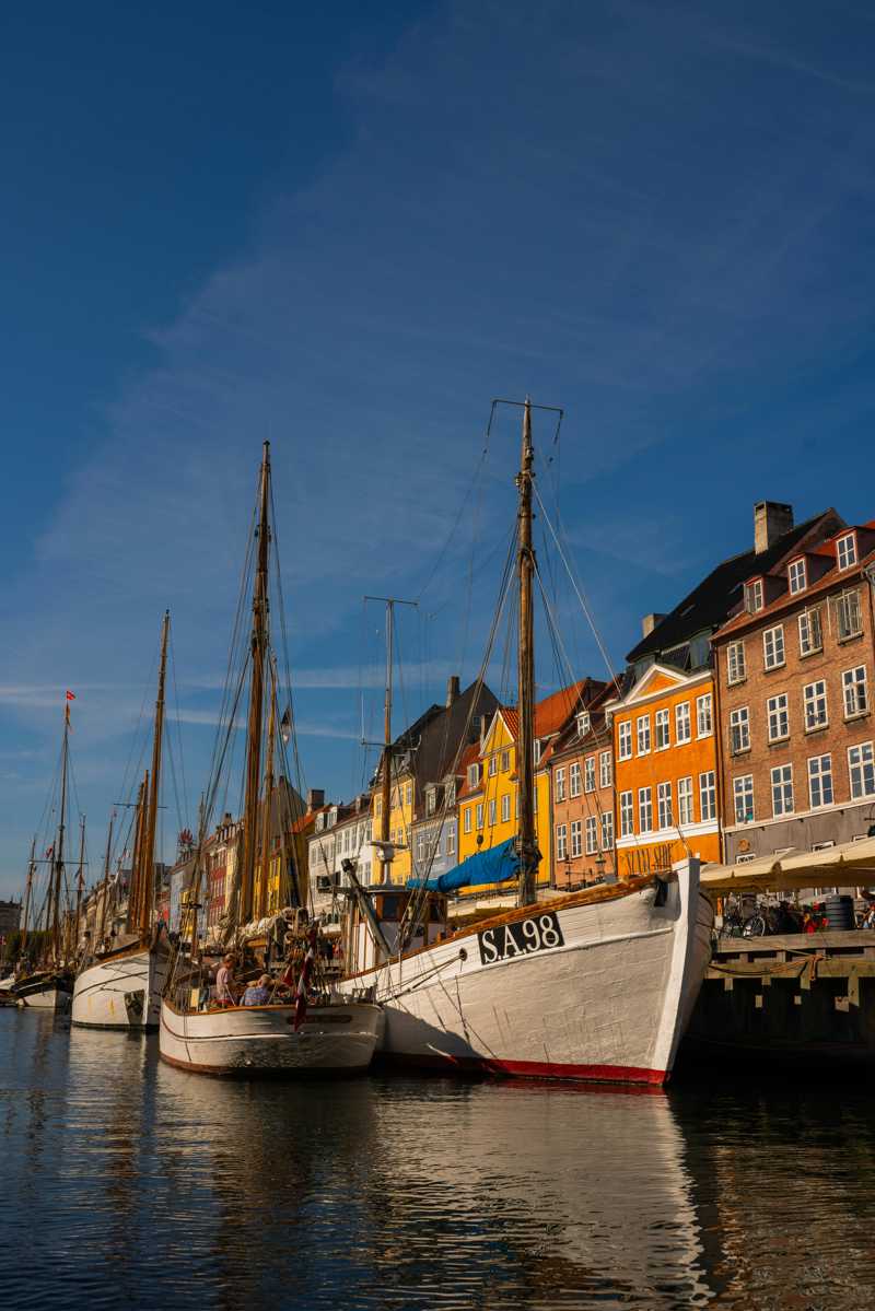 Gammel Dansk Hønsehund historie