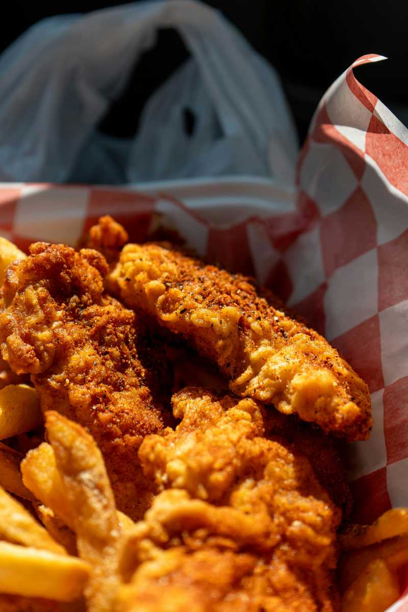 Hollandsk Hyrdehund, Korthåret historie