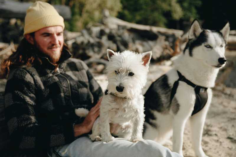 West Highland White Terrier historie